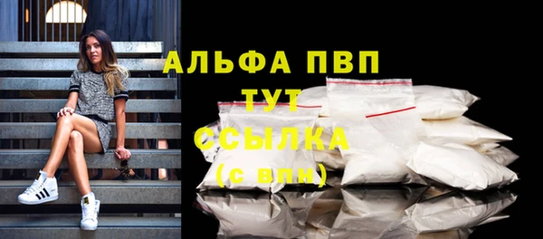 гидра Яранск
